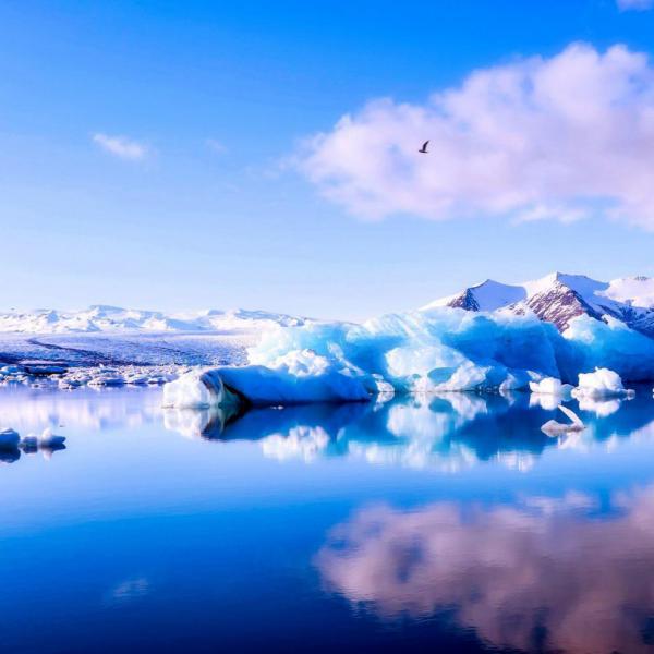 Iceberg a la vista